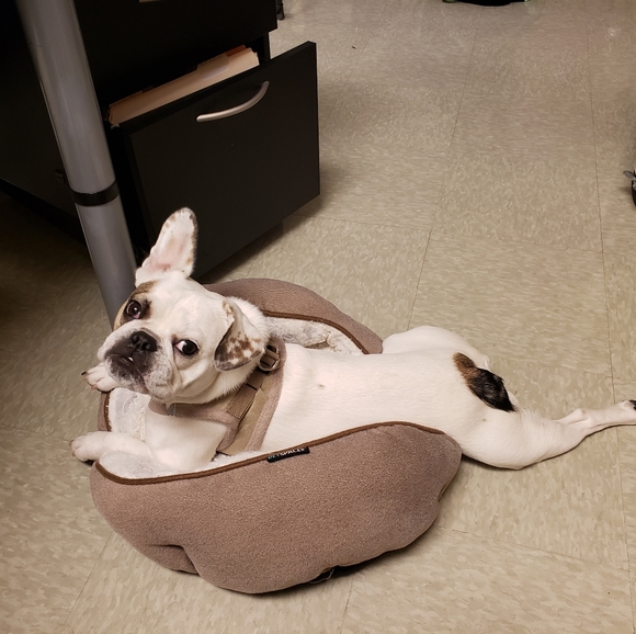 Quantity&Quality - Picture 5 of 8